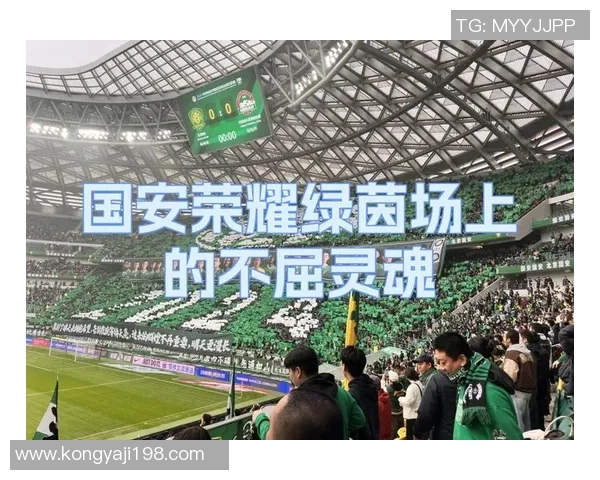 杭州足球队的拼搏之路：一段不屈不挠的奋斗纪实与荣耀回顾