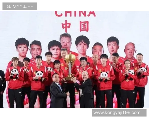 杭州足球队在世界杯中的团队协作表现分析与评价