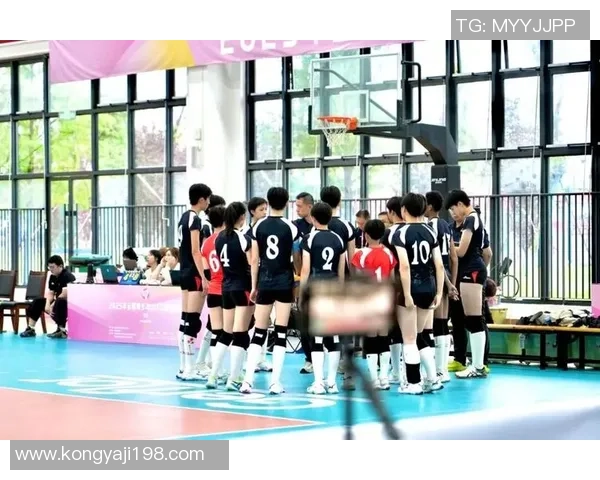 上海排球队的节奏与风采探秘：排球运动的魅力与发展之路