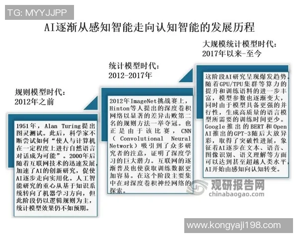 深圳排球队的荣耀之路：从挑战到突破的精彩历程回顾